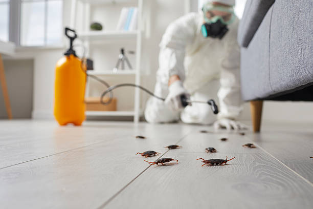 Trusted Fumigation Services service in Leisure Village West, NJ - Nex Pest Control