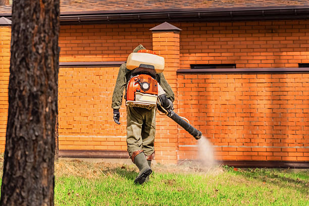 Trusted Cockroach Control service in Leisure Village West, NJ - Nex Pest Control